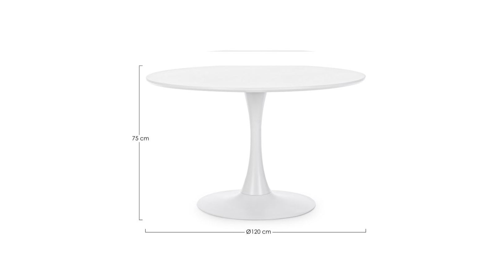 Bloom 120 bianco