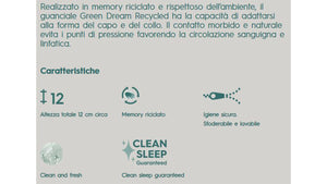 Guanciale green dream recycled