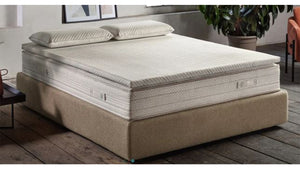 Guanciale green dream recycled